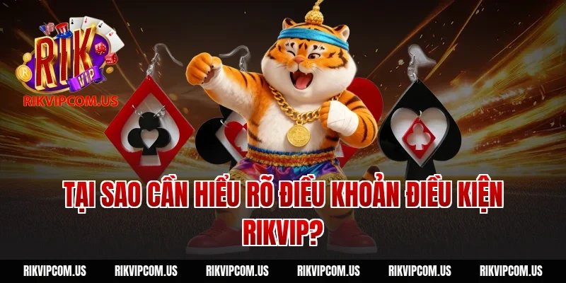 Tại sao cần hiểu rõ điều khoản điều kiện Rikvip?