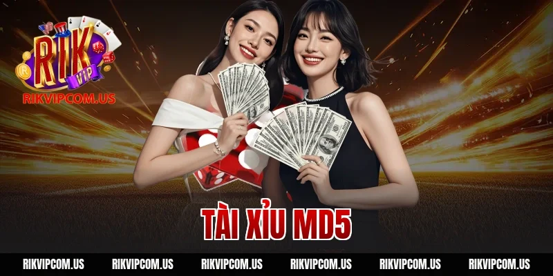 Tài Xỉu MD5 RIKVIP: Công Nghệ Bảo Mật Chống Gian Lận Tối Đa